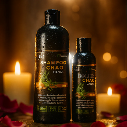 ✨SHAMPOO CHAO CANAS +TRATAMIENTO | CABELLO RENOVADO, JOVEN Y SIN CANAS✨